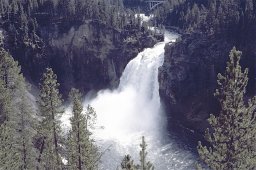 Yellowstone-0070