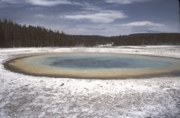 Yellowstone-0086