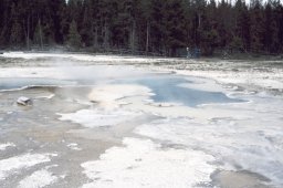 Yellowstone-0087