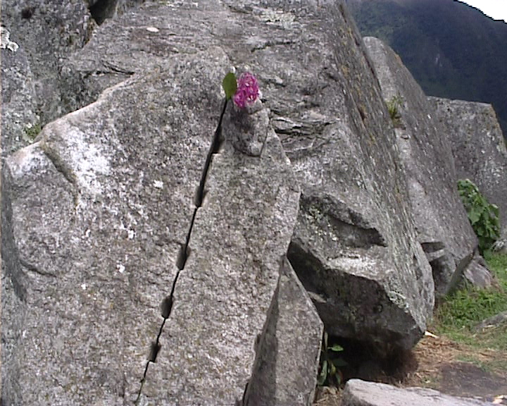MachuPichu-016.jpg