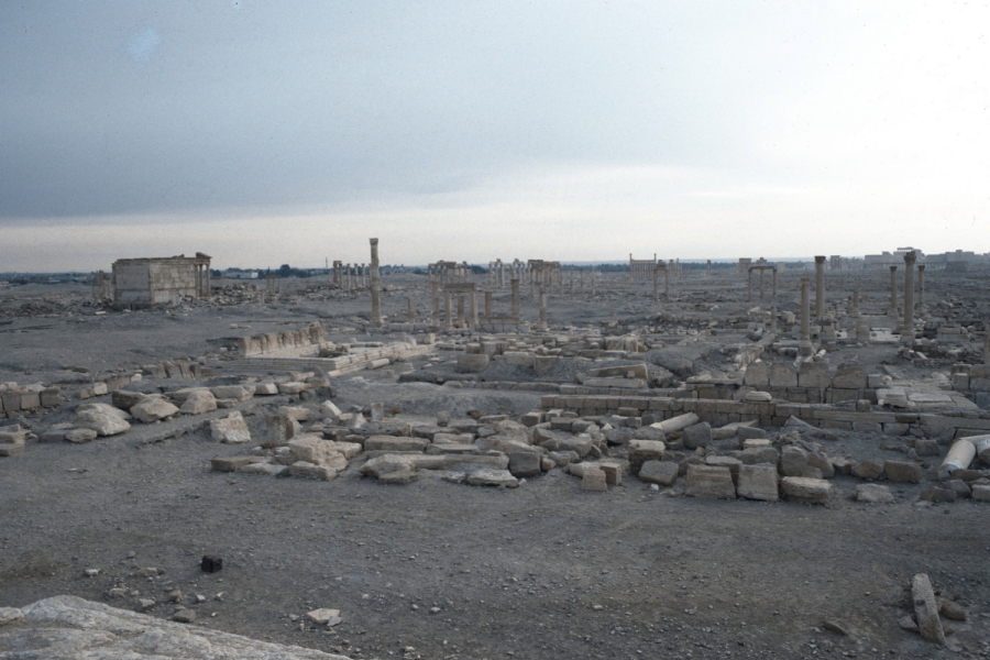 View over Palmyra