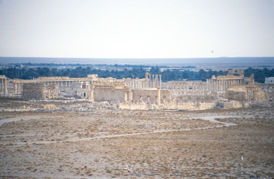 View across ancient Palmyra