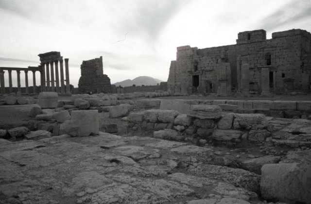 Old Palmyra at sunset