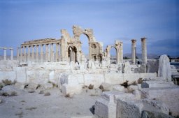 Palmyra