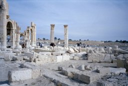 Palmyra-n014-b