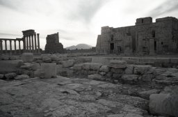 Palmyra-s004b