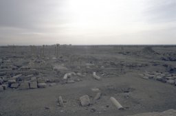 Palmyra-s015b