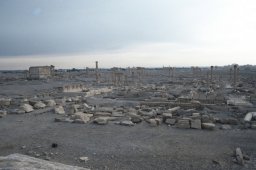 Palmyra-s016b