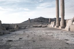 Palmyra-s017b