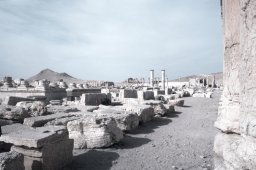 Palmyra-s024b