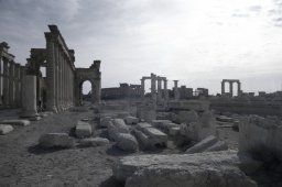 Palmyra-s025xb