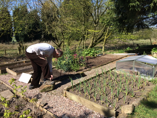 Old Vegetable garden April 2019