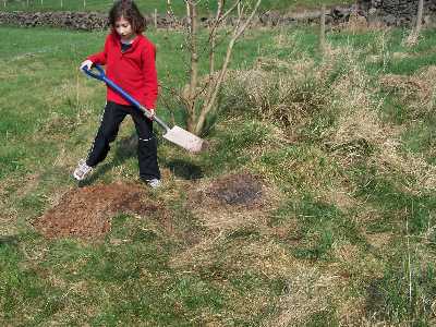 Louise preparing to bury Andy's ashes