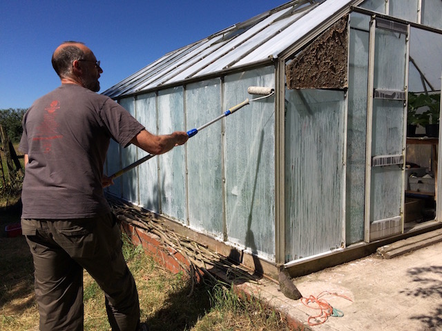 Whitewashing the greenhouse glass