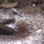 Equador - Galapagos