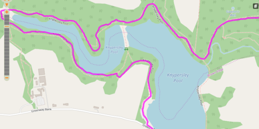Local Walks