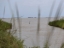 The Creole Nature Trail