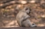 South Africa 2014