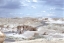 Petrified Forest and Painted Desert