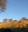 Biddulph Moor Short Run
