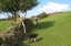 Grand Circle Walk (Allotments)