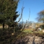 Uncovering the veg beds