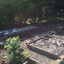 Creating the veg garden