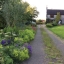 Tackling the flower border