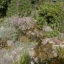 Rockery