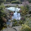 Lining and filling the pond
