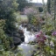 The finished pond