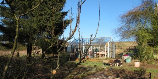 Uncovering the veg beds