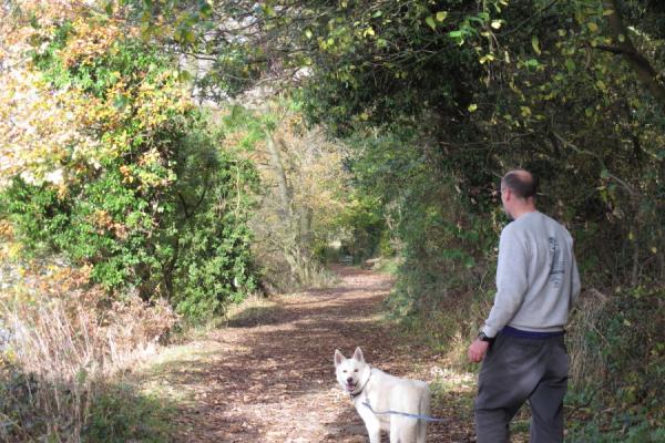 Walking with dog along country path